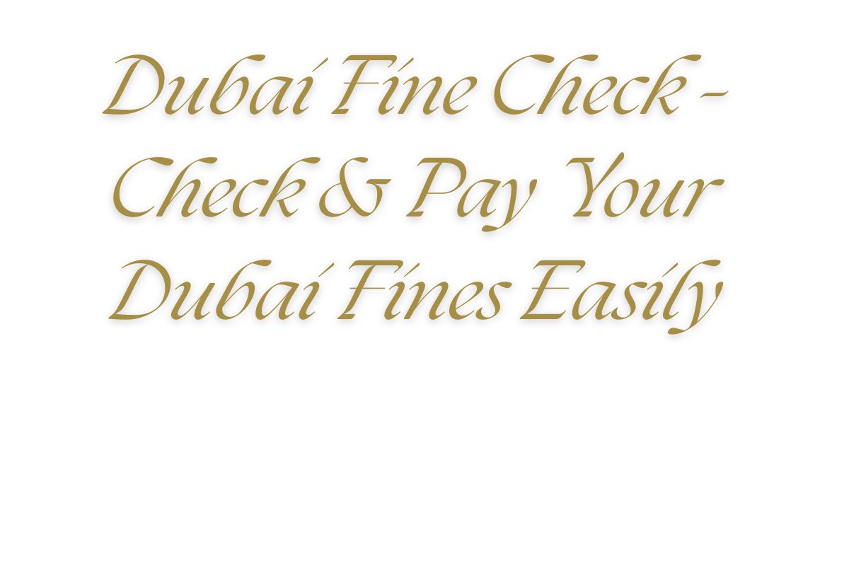 You are currently viewing Dubai Fine Check: Your Easy Guide to Traffic Fines in Dubai
