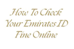 Read more about the article How To Check Your Emirates ID Fine Online?