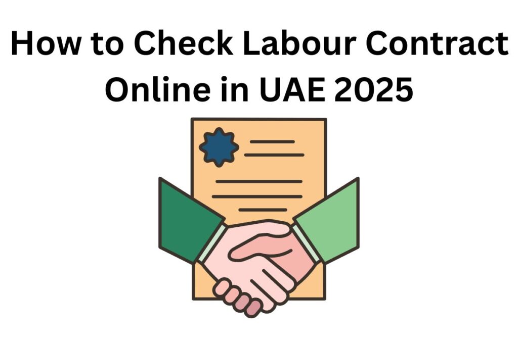 How to Check Labour Contract Online in UAE 2025