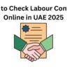 How to Check Labour Contract Online in UAE 2025