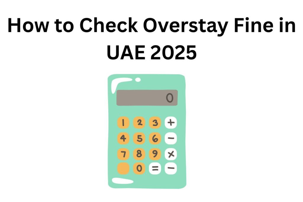 How to Check Overstay Fine in UAE 2025