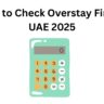 How to Check Overstay Fine in UAE 2025
