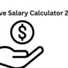 Leave Salary Calculator 2025