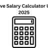 Leave Salary Calculator UAE 2025